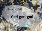 Srdjan Tesin, Gori gori gori