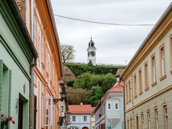 Novi Sad u znaku pisane reči